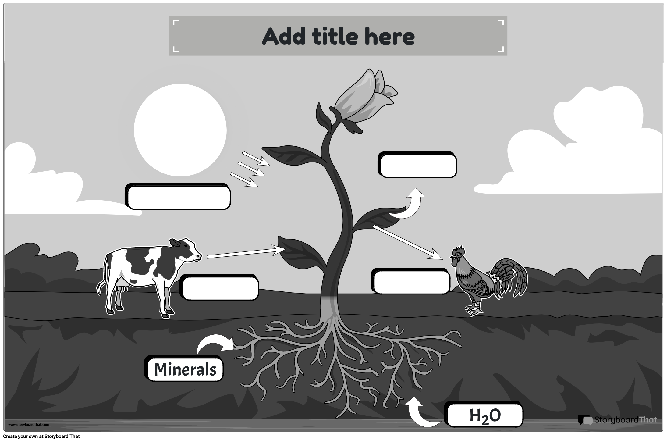 photosynthesis-educational-poster-storyboard-by-templates