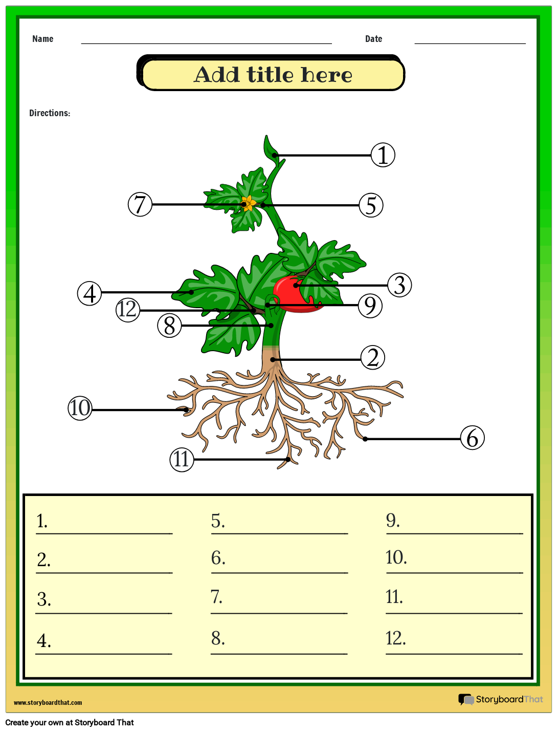 plant-s-anatomy-worksheet-advanced-storyboard