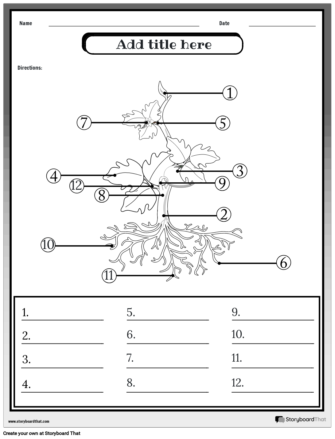 Plants Anatomy Worksheet Advanced Storyboard 7529