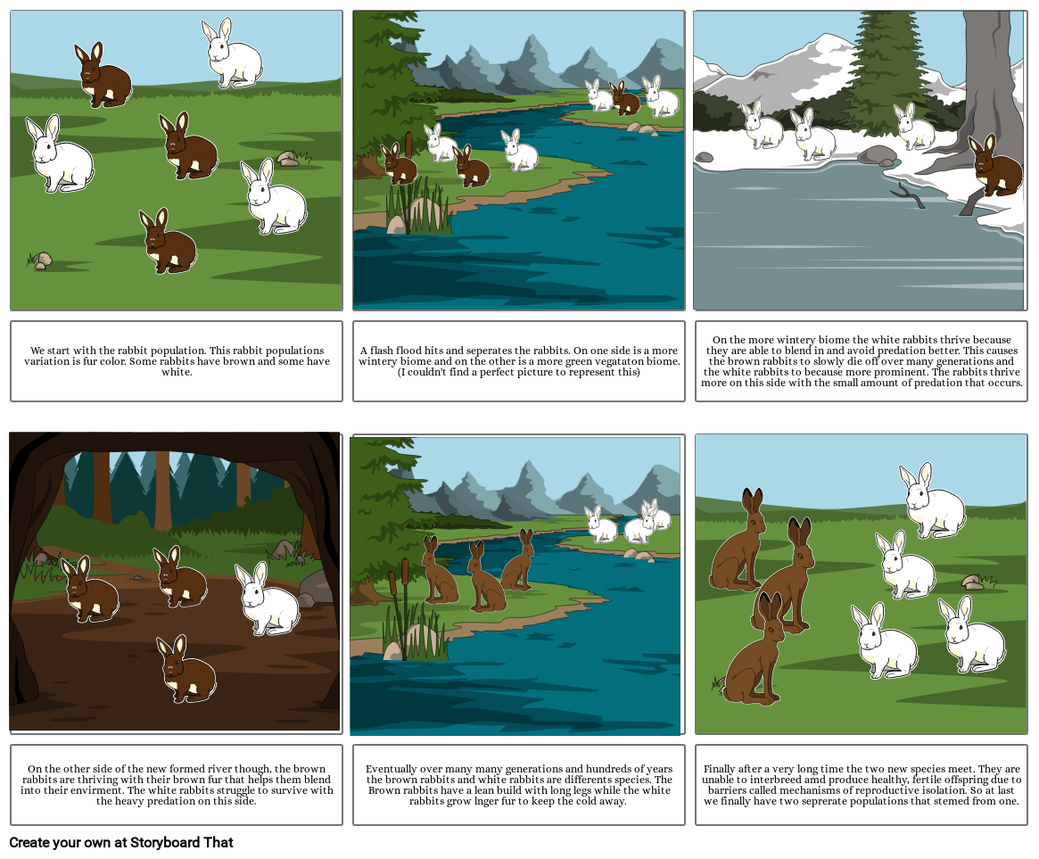 speciation-comic-storyboard-by-tfukg