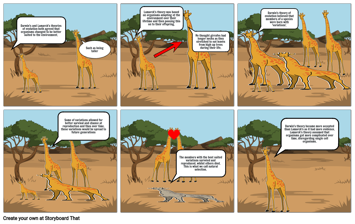 Lamarck's and Darwin’s Theory of Evolution Storyboard