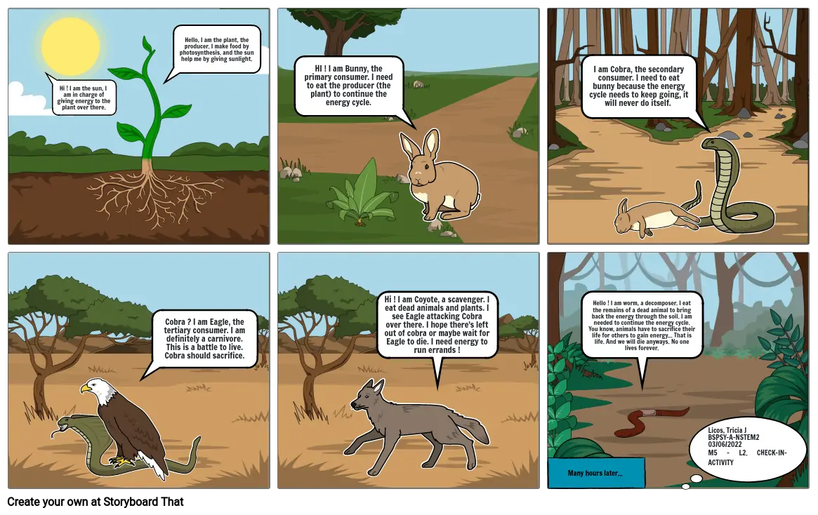 Trophic Structure of the Ecosystem