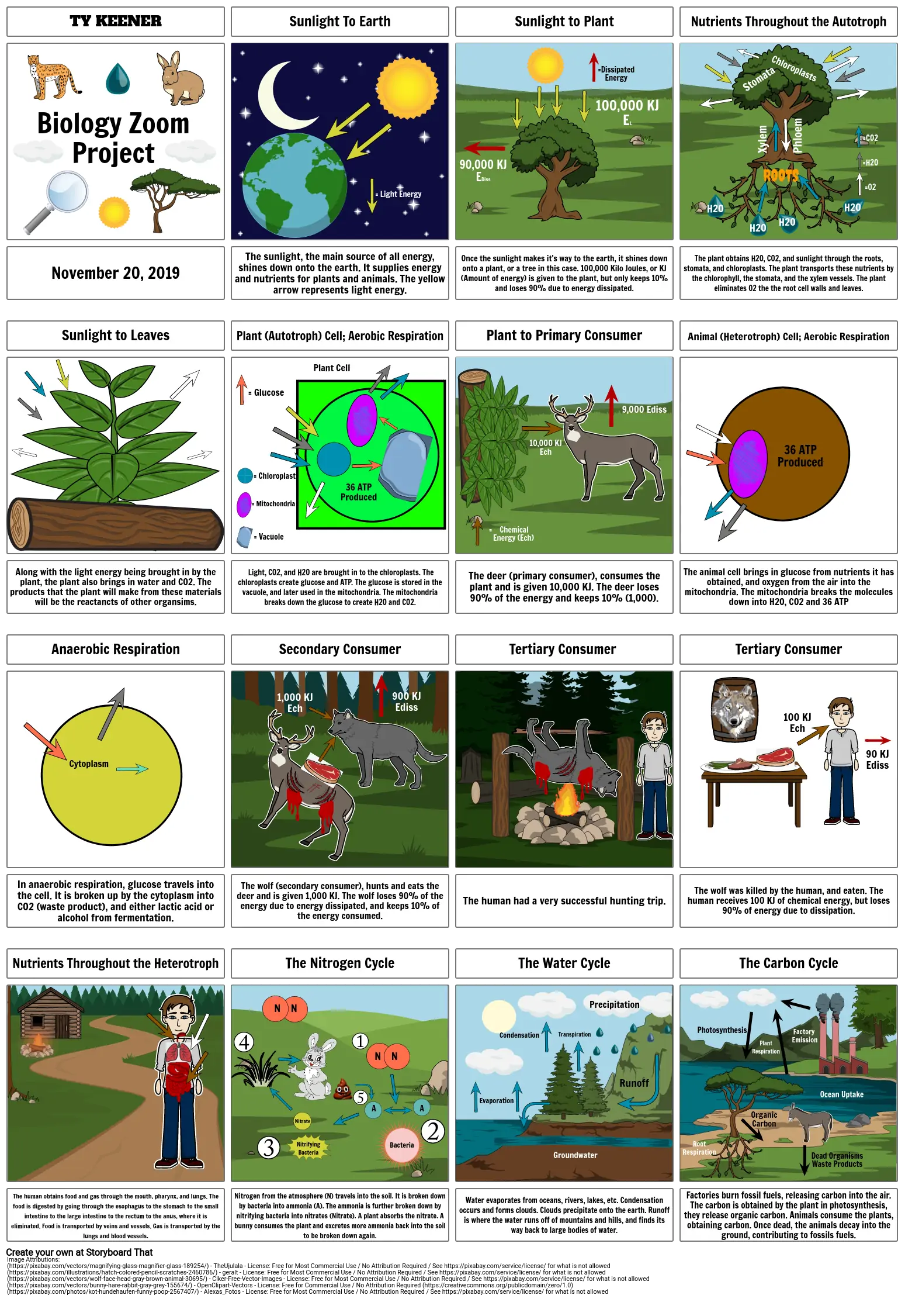 Biology Zoom Project