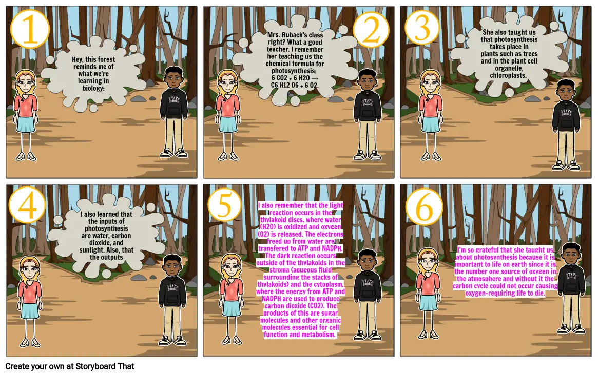 Photosynthesis Comic Strip