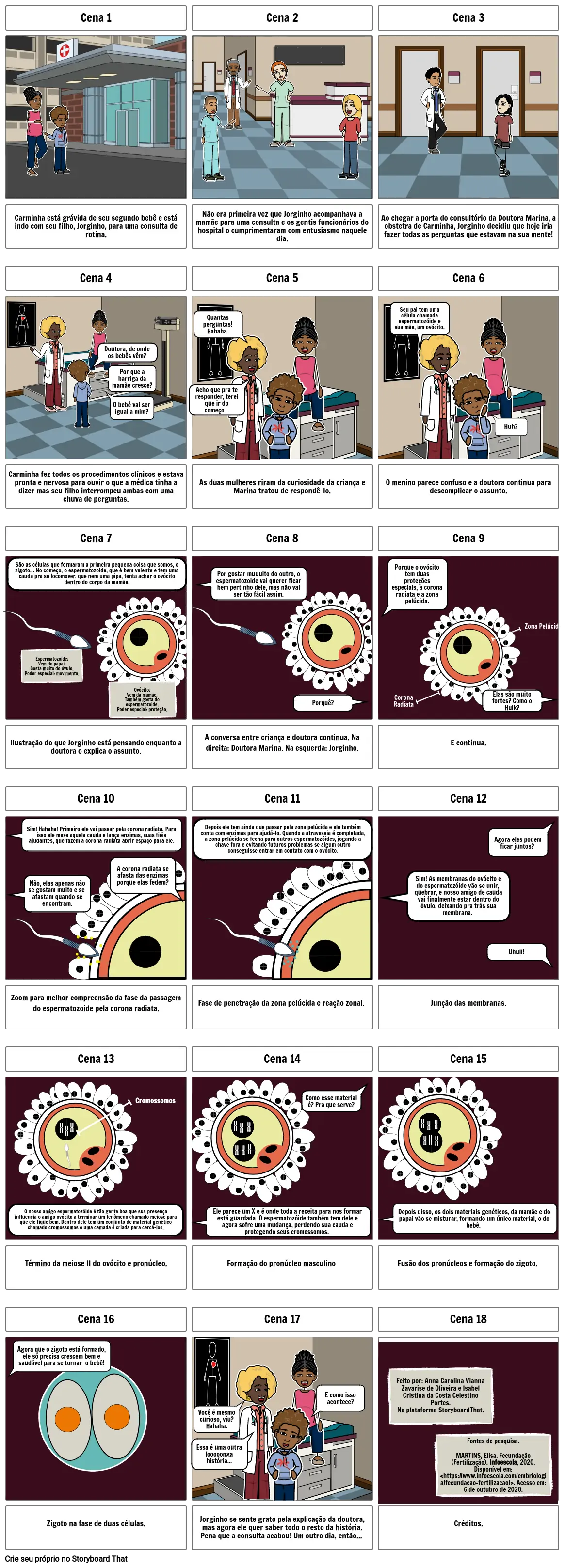 Storyboard - Fecundação