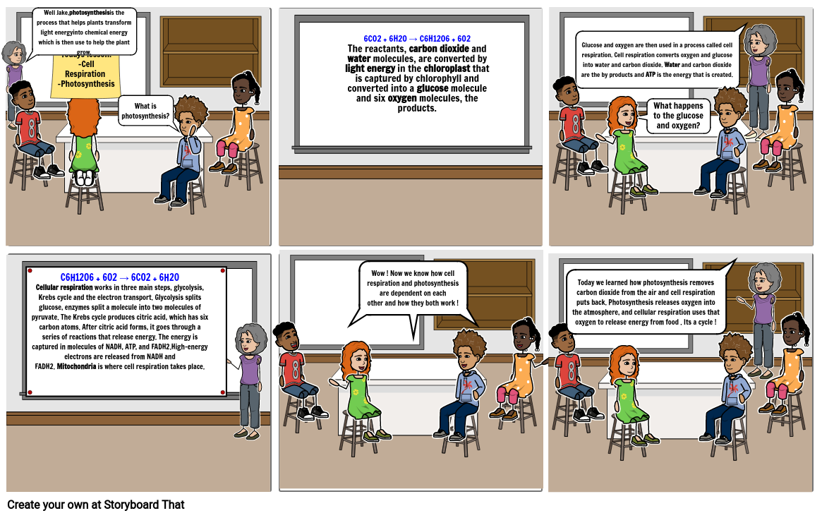 Cell Respiration And Photosynthesis Storyboard