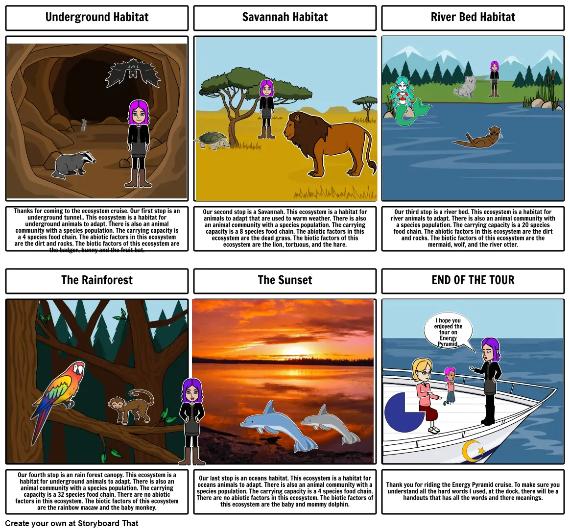 Ecosystem Storyboard.