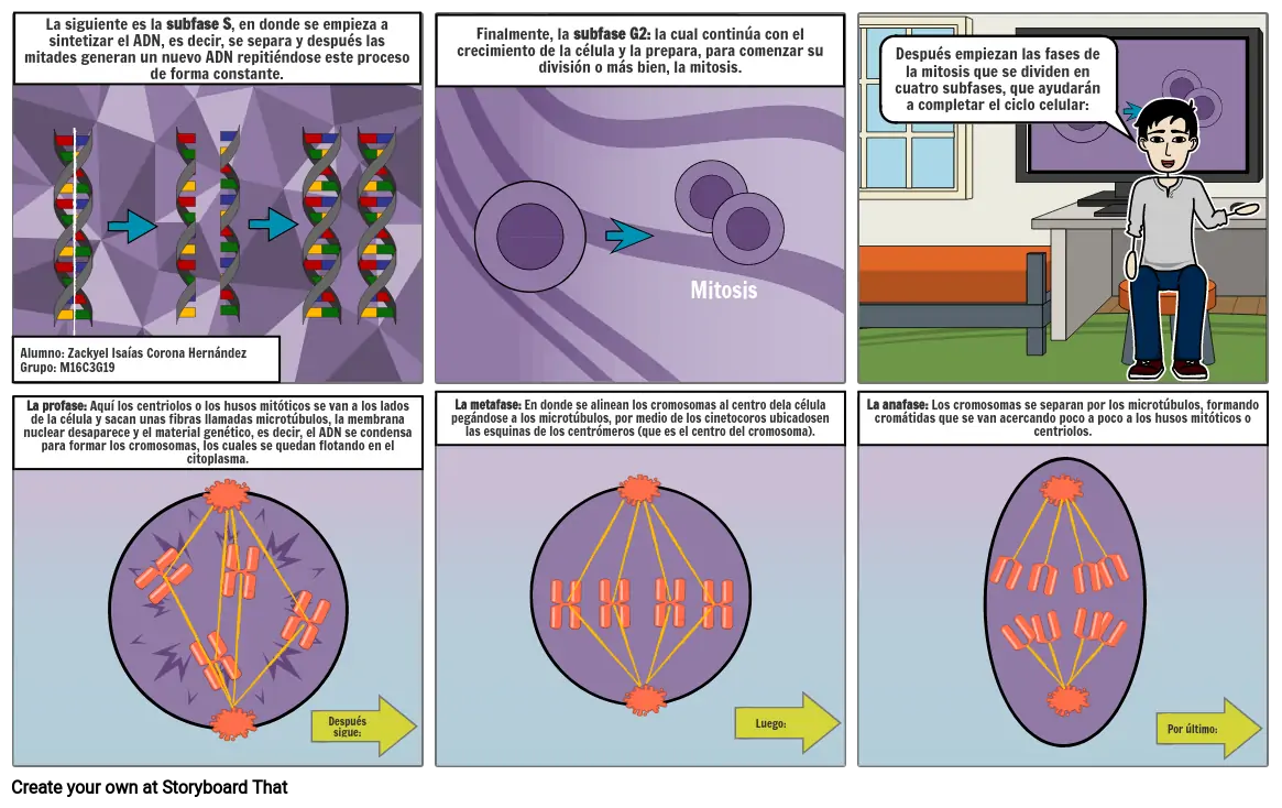 El ciclo celular (Parte 3)