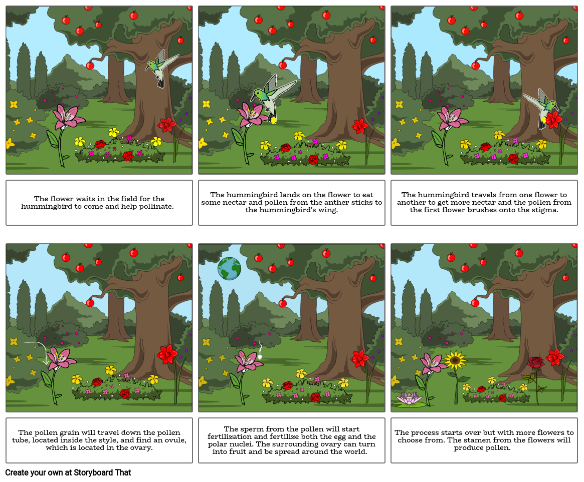 Plant Fertilization Storyboard By Zeinab15552